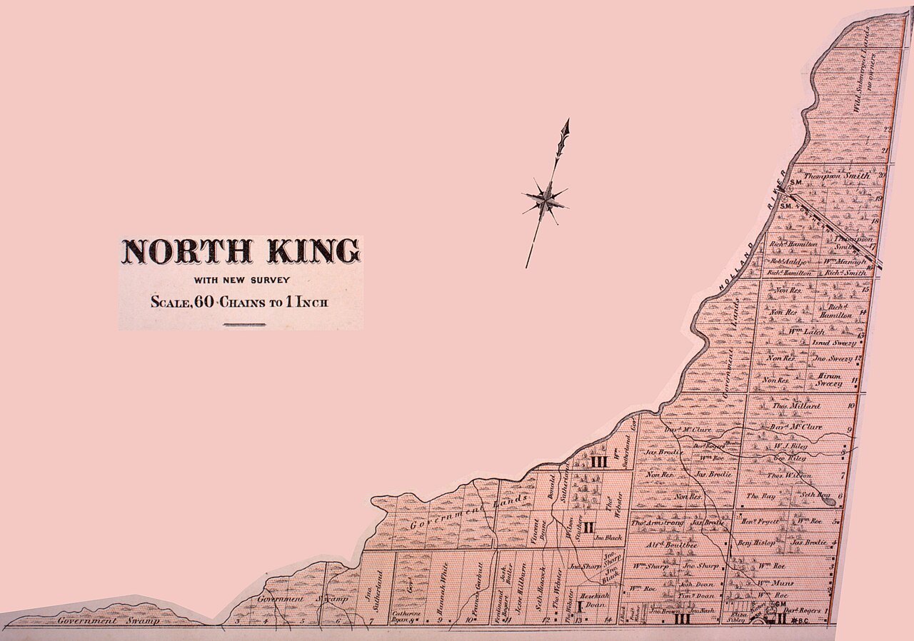 Detail of an 1878 county atlas map of the northern portion of King Township, Ontario